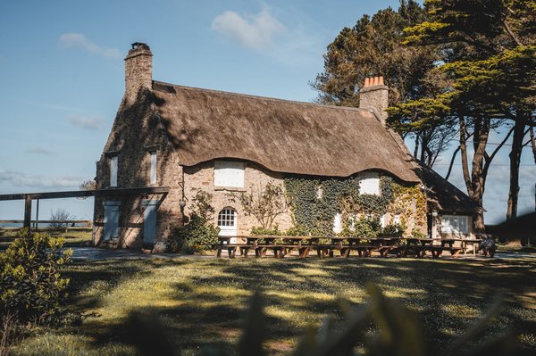Pour des vacances insolites en Bretagne, optez pour une cabane dans les arbres